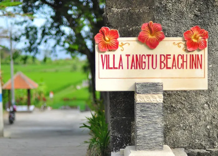 Guest house Tangtu Sukawati (Bali)